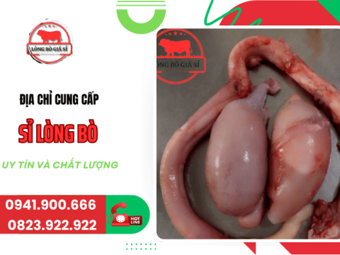 Địa chỉ cung cấp sỉ lòng bò uy tín và chất lượng