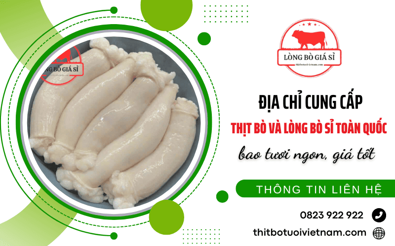 thịt bò sỉ, lòng bò sỉ