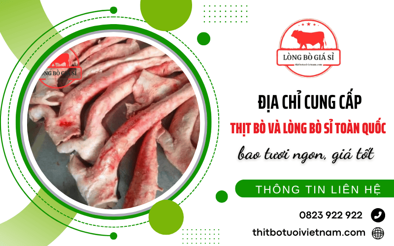 thịt bò sỉ, lòng bò sỉ