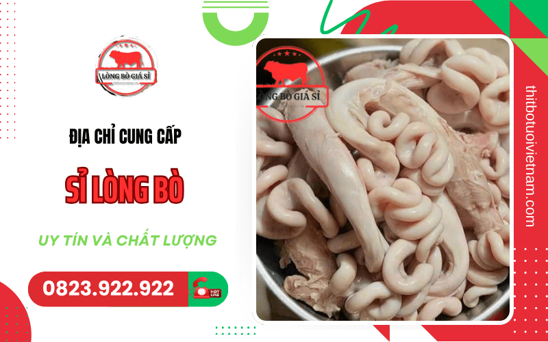 sỉ lòng bò